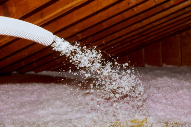 Best Spray Foam Insulation in Hallsville, TX