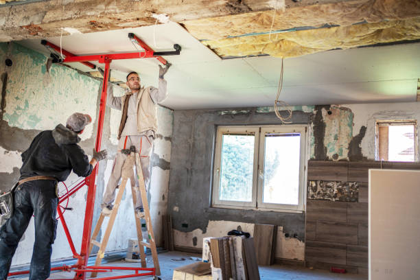 Best Residential Insulation in Hallsville, TX